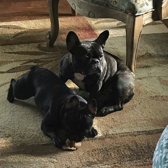 “Trendy is the last stage before tacky." - Picture 7 of 8